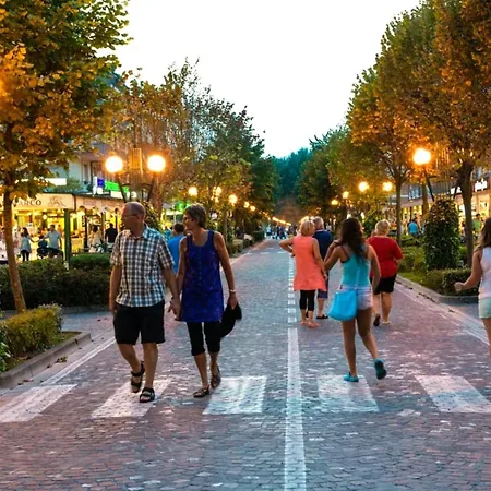 Sunny Right By The ביביונה