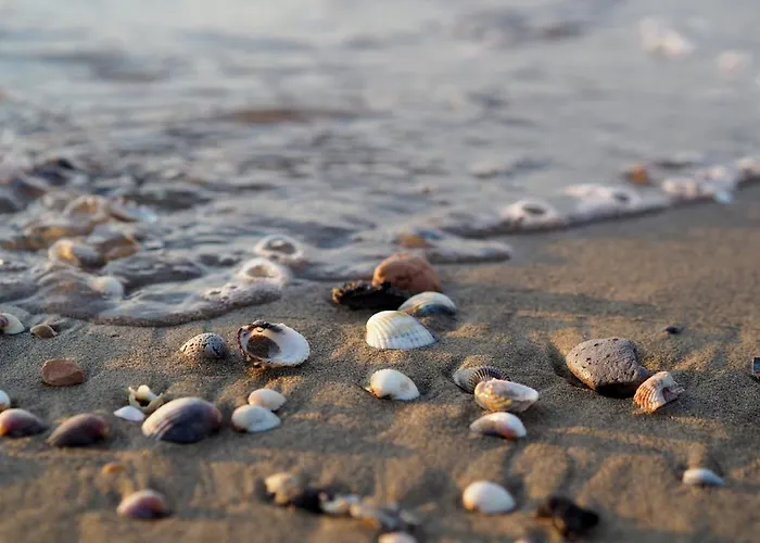 Sunny Right By The Apartmán Bibione